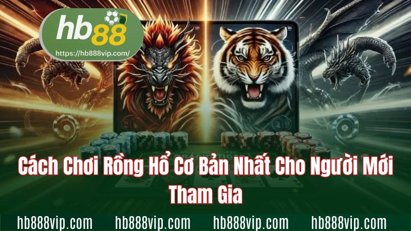Cách chơi Rồng hổ