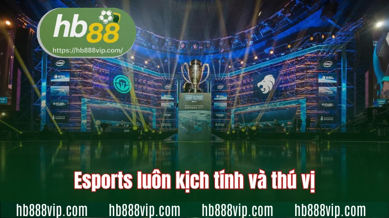 Esports luôn kịch tính và thú vị