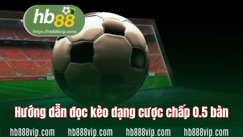 Hướng dẫn cách đọc kèo dạng cược chấp 0.5 bàn