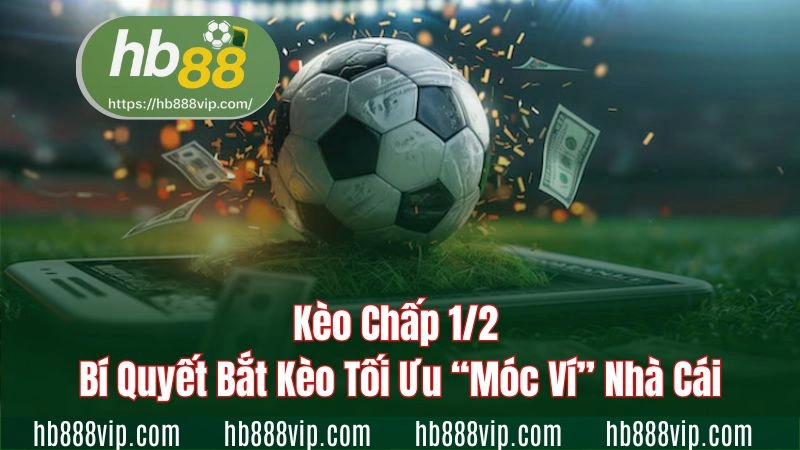Kèo chấp 1/2