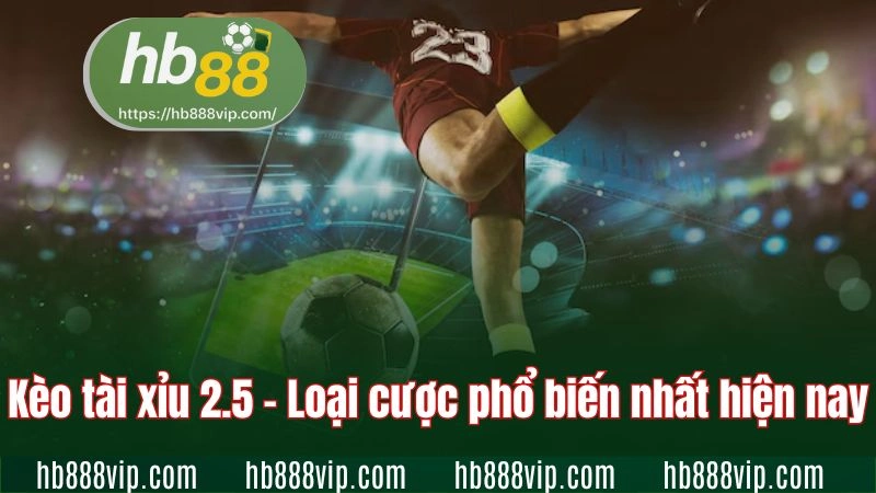 Kèo tài xỉu 2.5 - Loại cược phổ biến nhất hiện nay