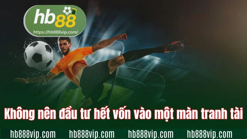 Không nên đầu tư hết vốn vào một màn tranh tài