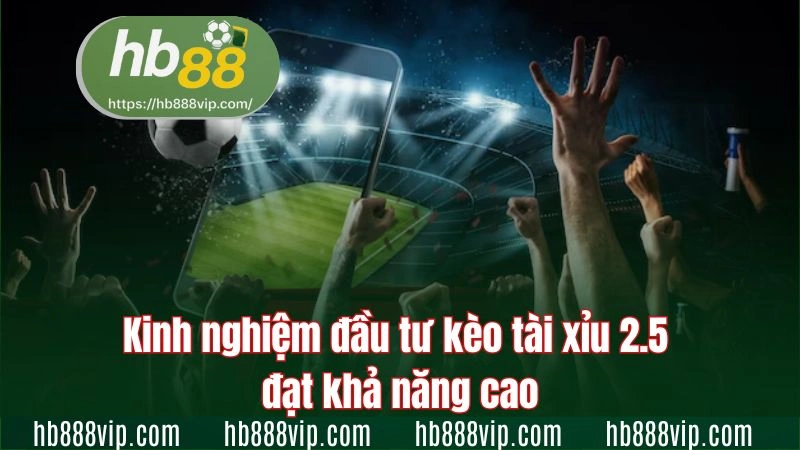 Kinh nghiệm đầu tư kèo tài xỉu 2.5 đạt khả năng cao