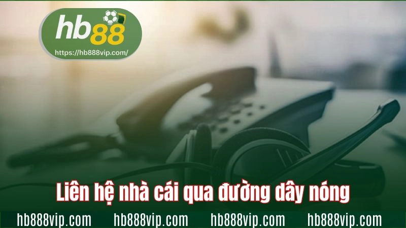Liên hệ nhà cái qua đường dây nóng