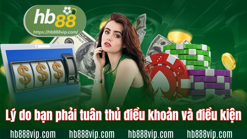 Lý do bạn phải tuân thủ điều khoản và điều kiện
