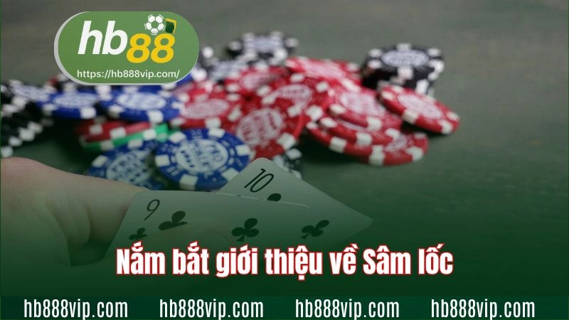 Nắm bắt giới thiệu về Sâm lốc