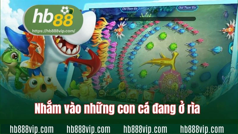 Nhắm vào những con cá đang ở rìa