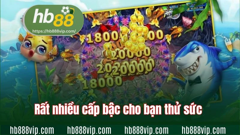 Rất nhiều cấp bậc cho bạn thử sức